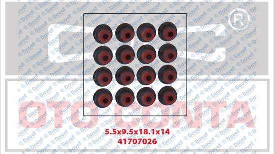 ELR-262.650 Subap Lastik Ford (Focus-Cmax 1.6 Tdci 04)